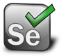 Selenium Training in Costa Rica